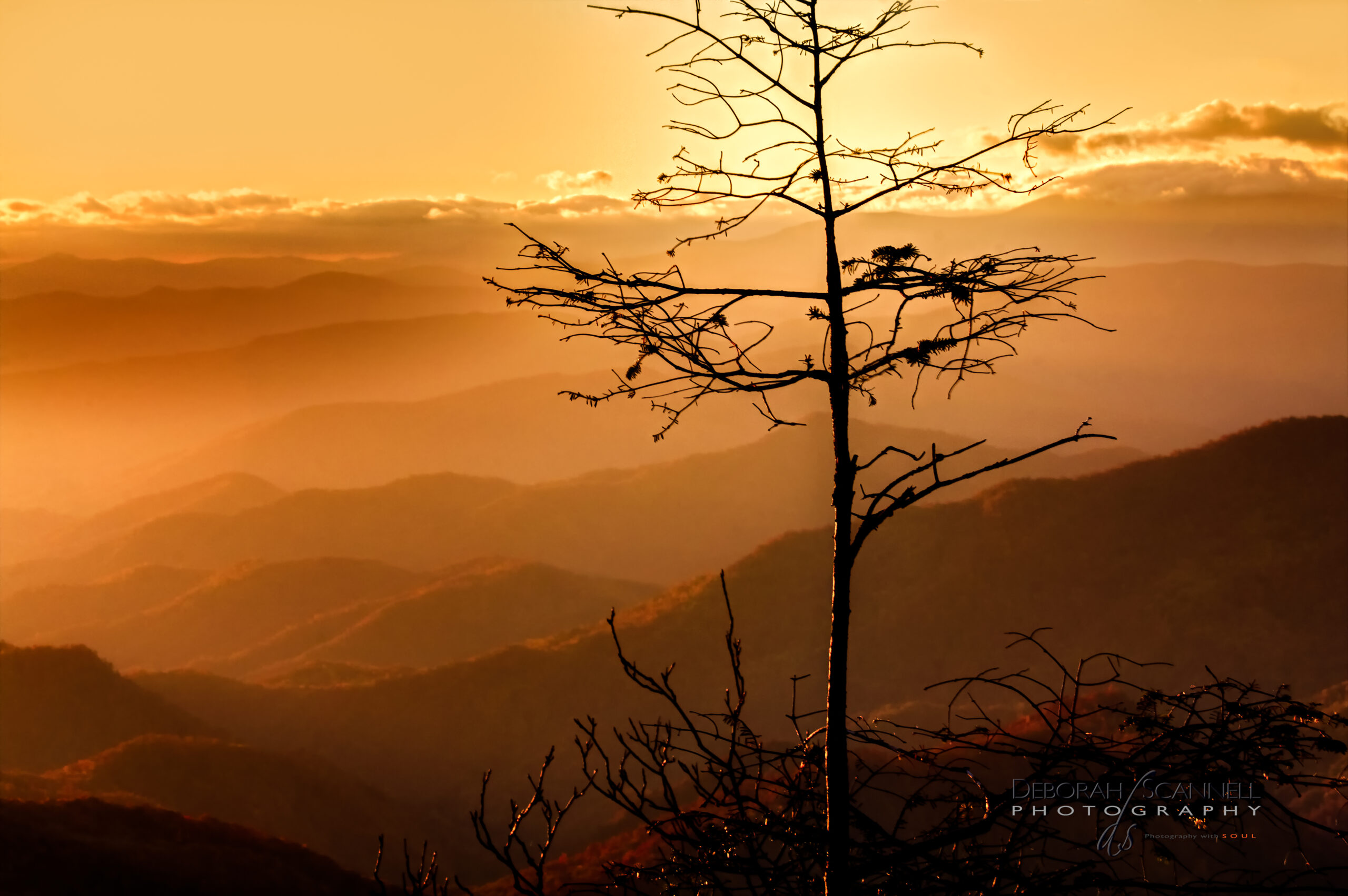 Autumn Stillness