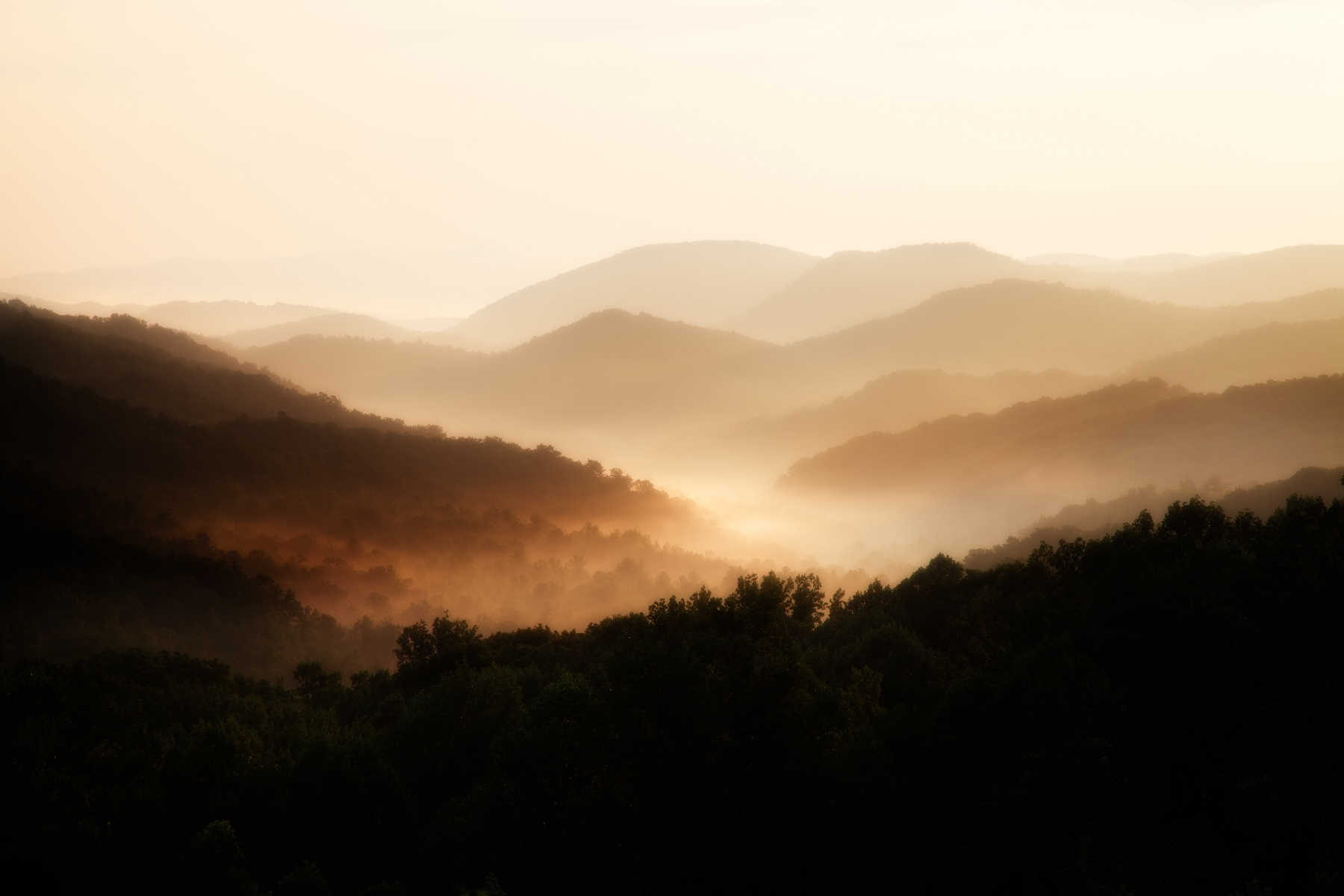 deborahscannellphotography